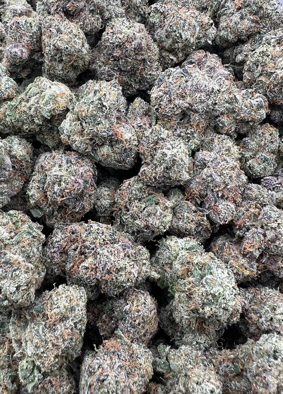 Casamigos strain image