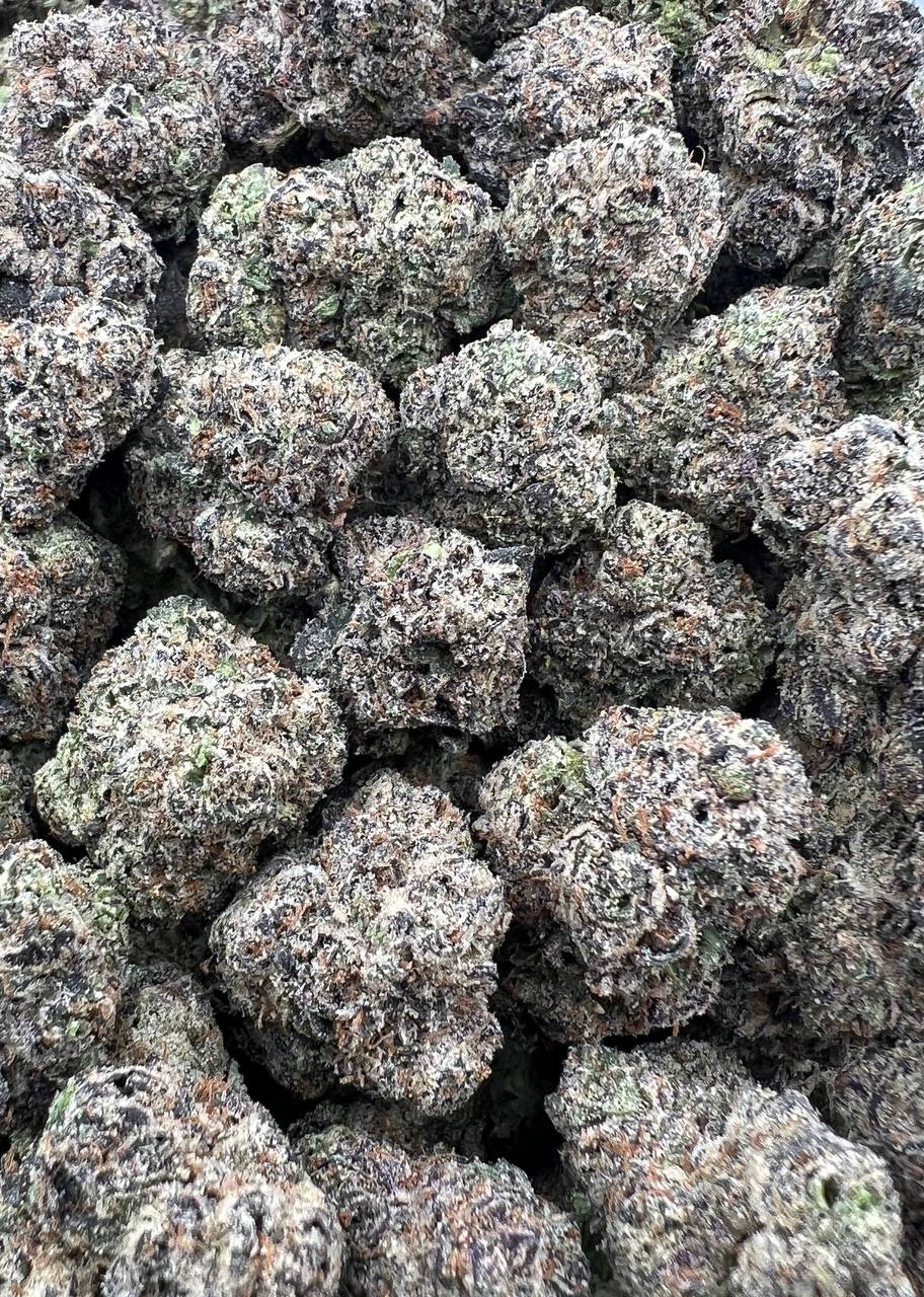 Lemon Gushers strain image