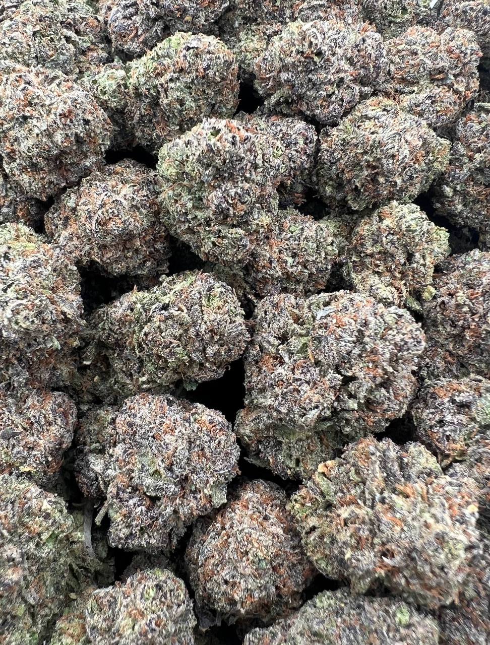 Rocket Fuel strain image