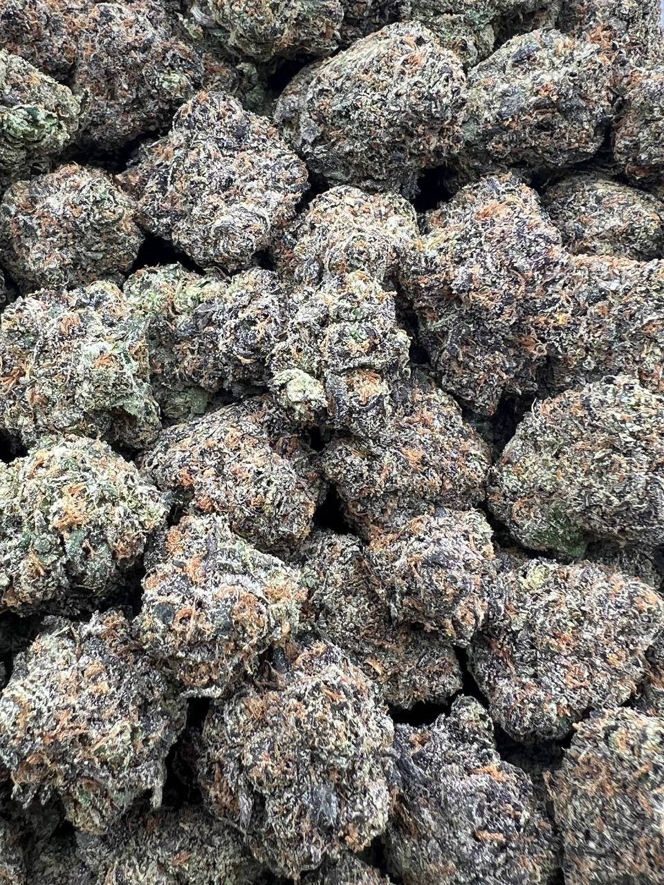 Biscotti Milk strain image