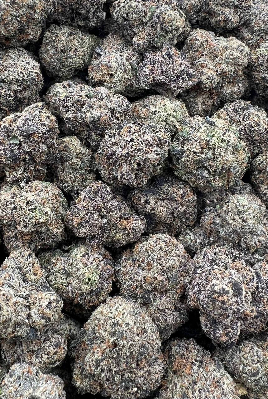 Biskante strain image