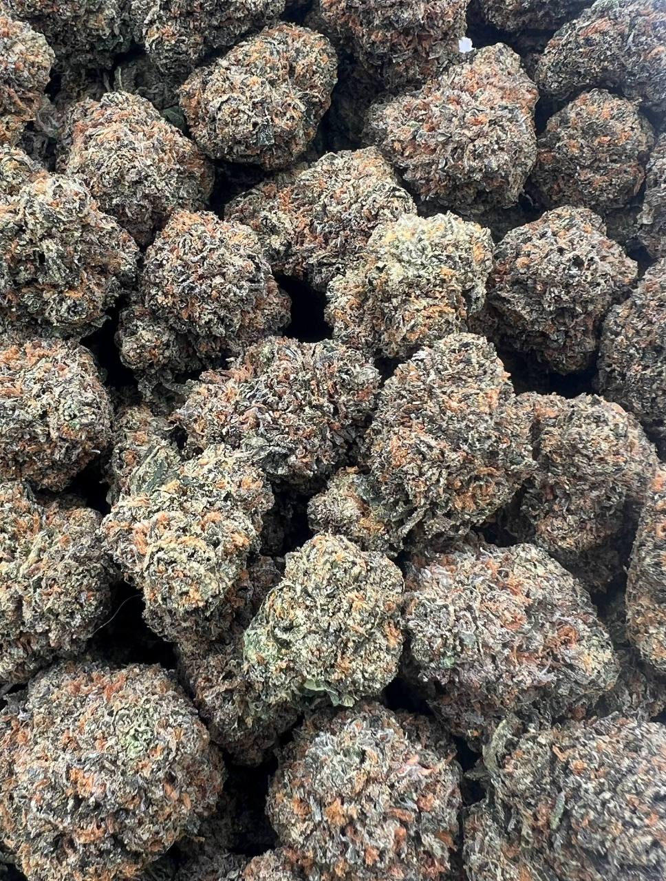 Blacked Iceez strain image