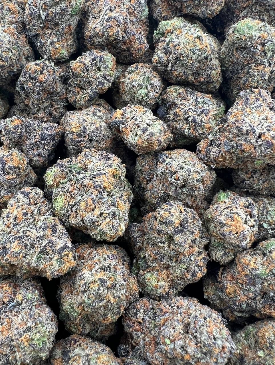 Blue Fritter strain image