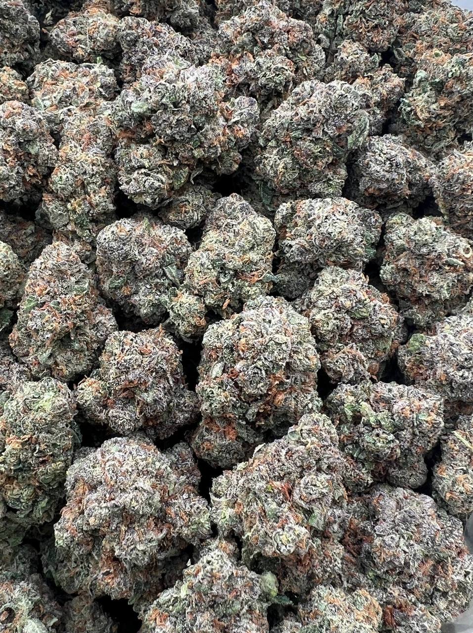 Blue Mango strain image