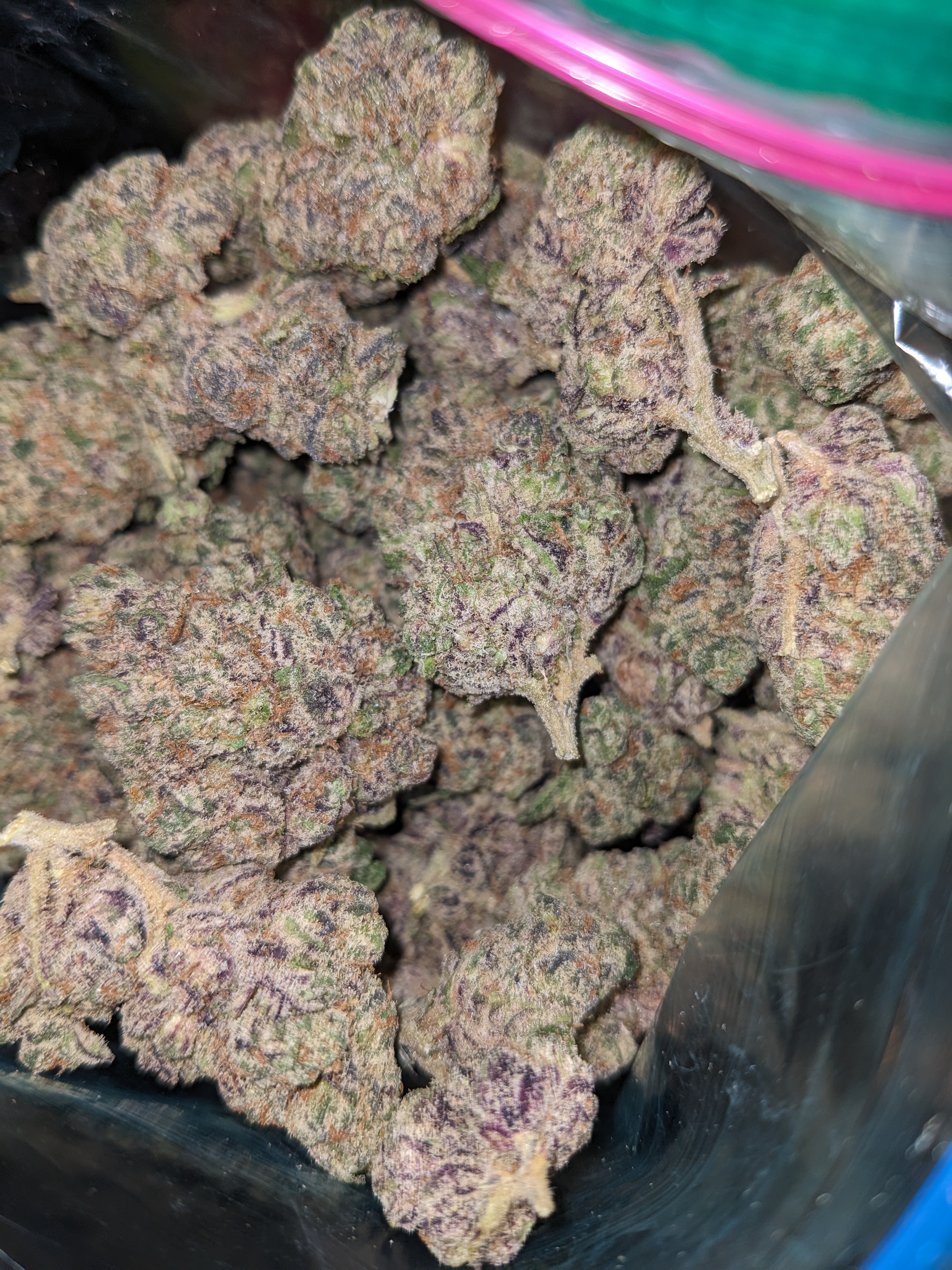 Blue Nerdz strain image