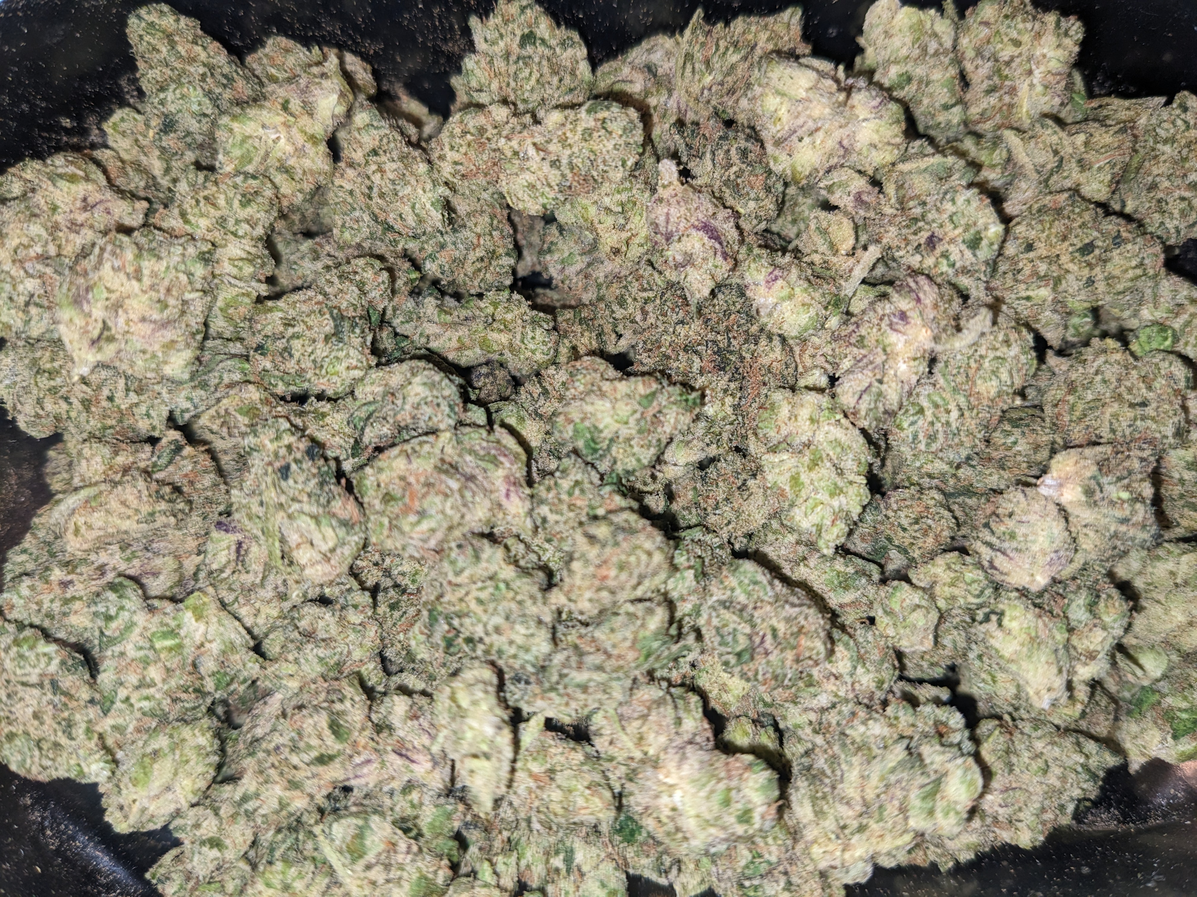 Candy Kush strain image