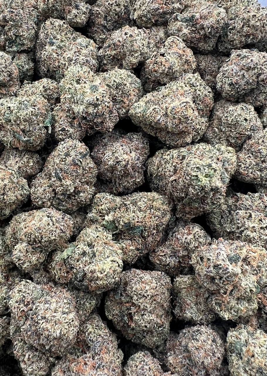 Cherry Zerbert strain image