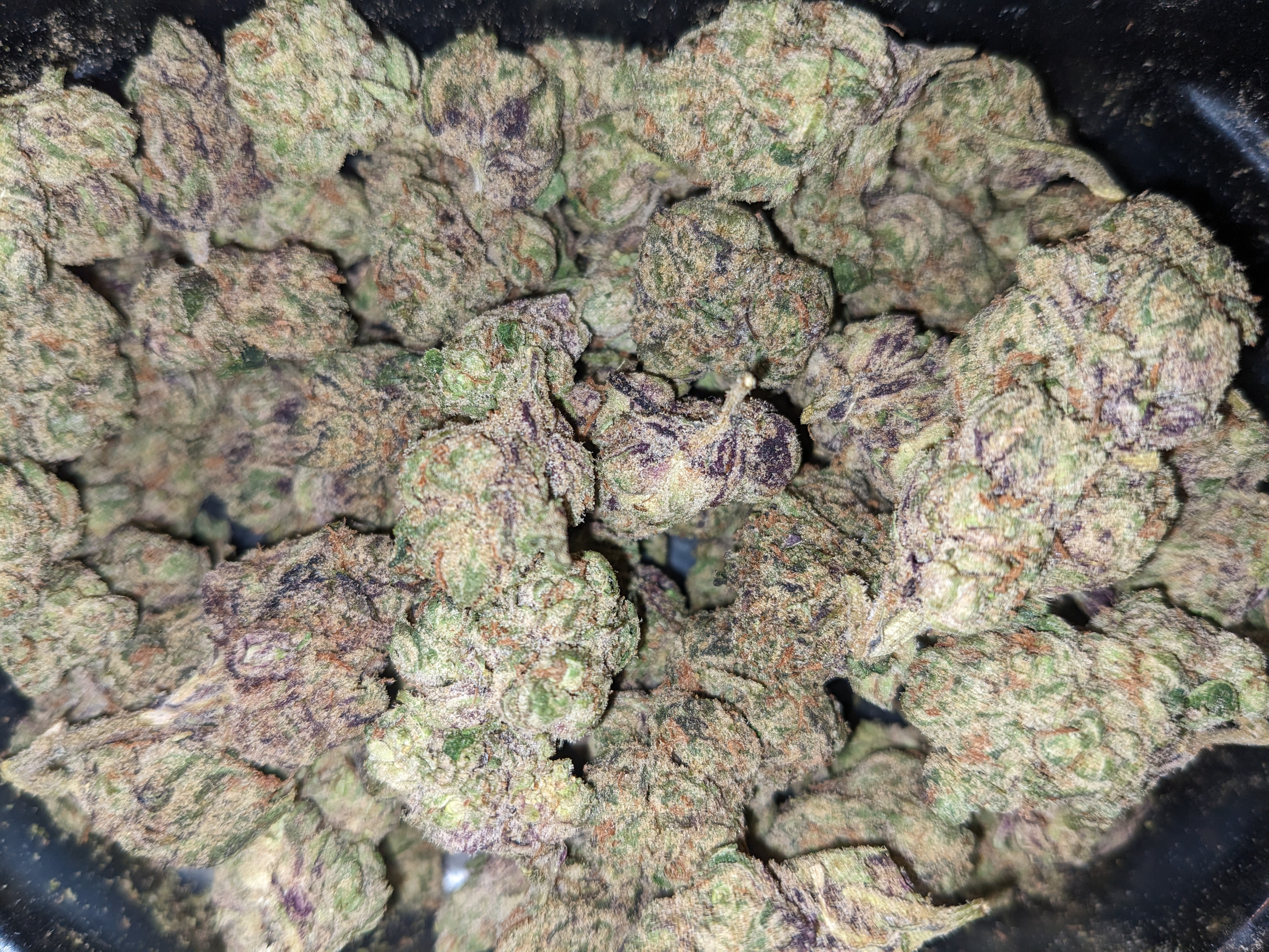 Crybaby strain image