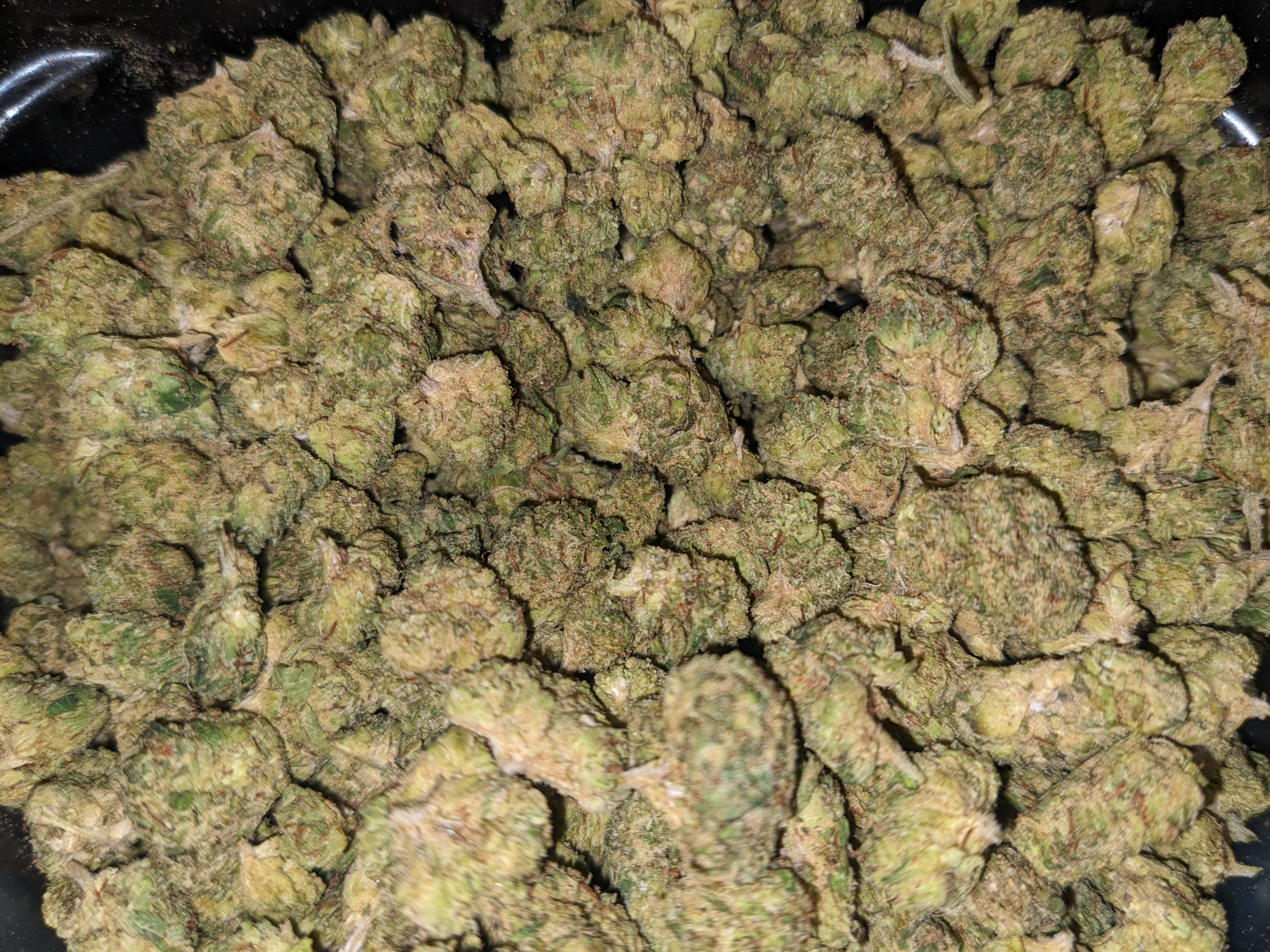 Fire OG strain image