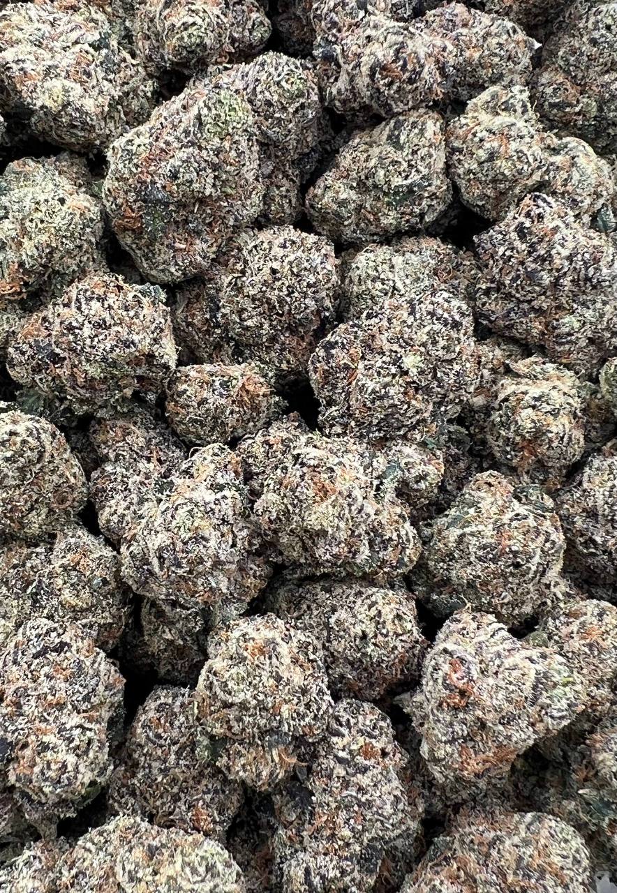 Gargantua strain image