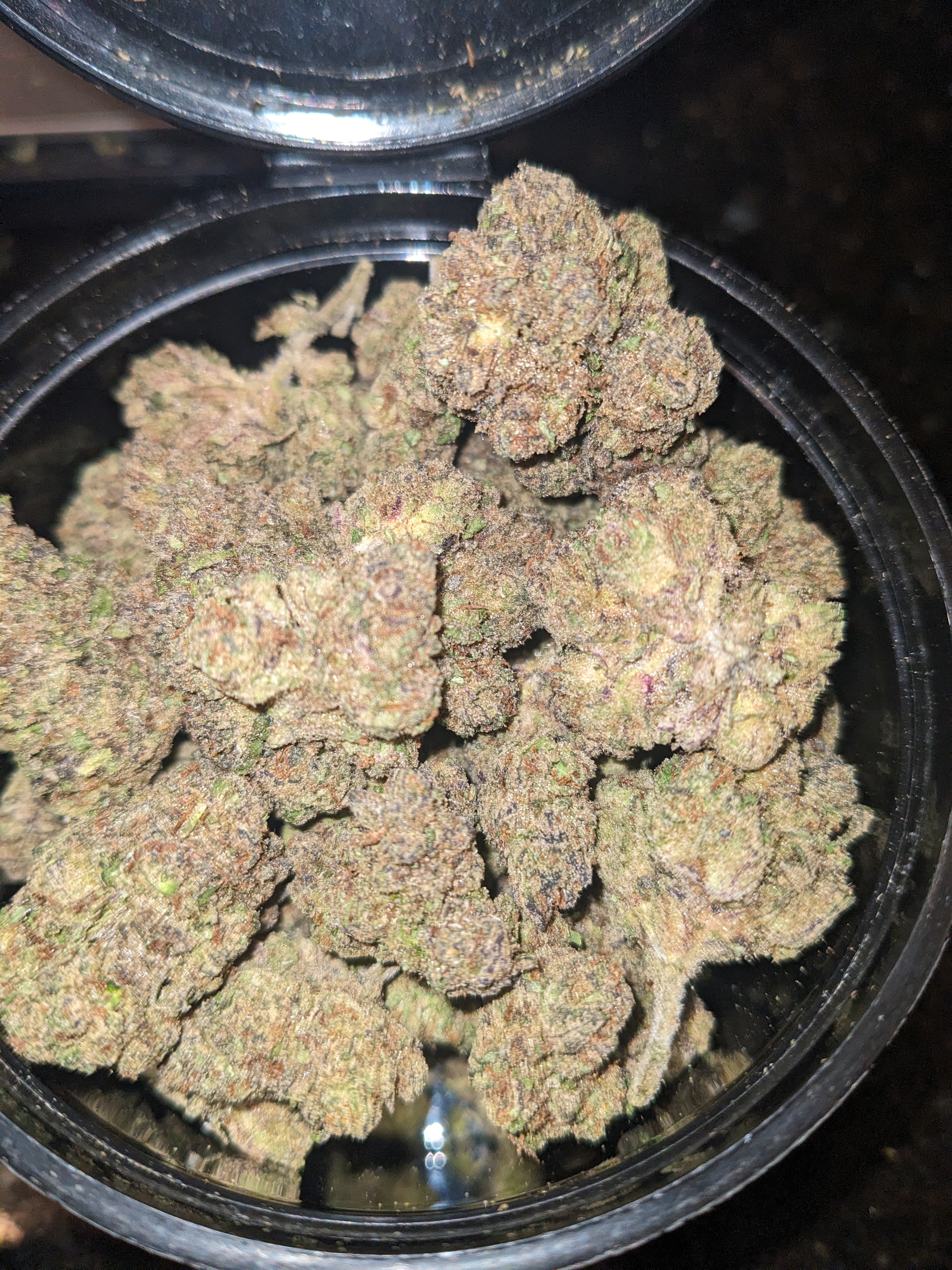 Gary Payton strain image