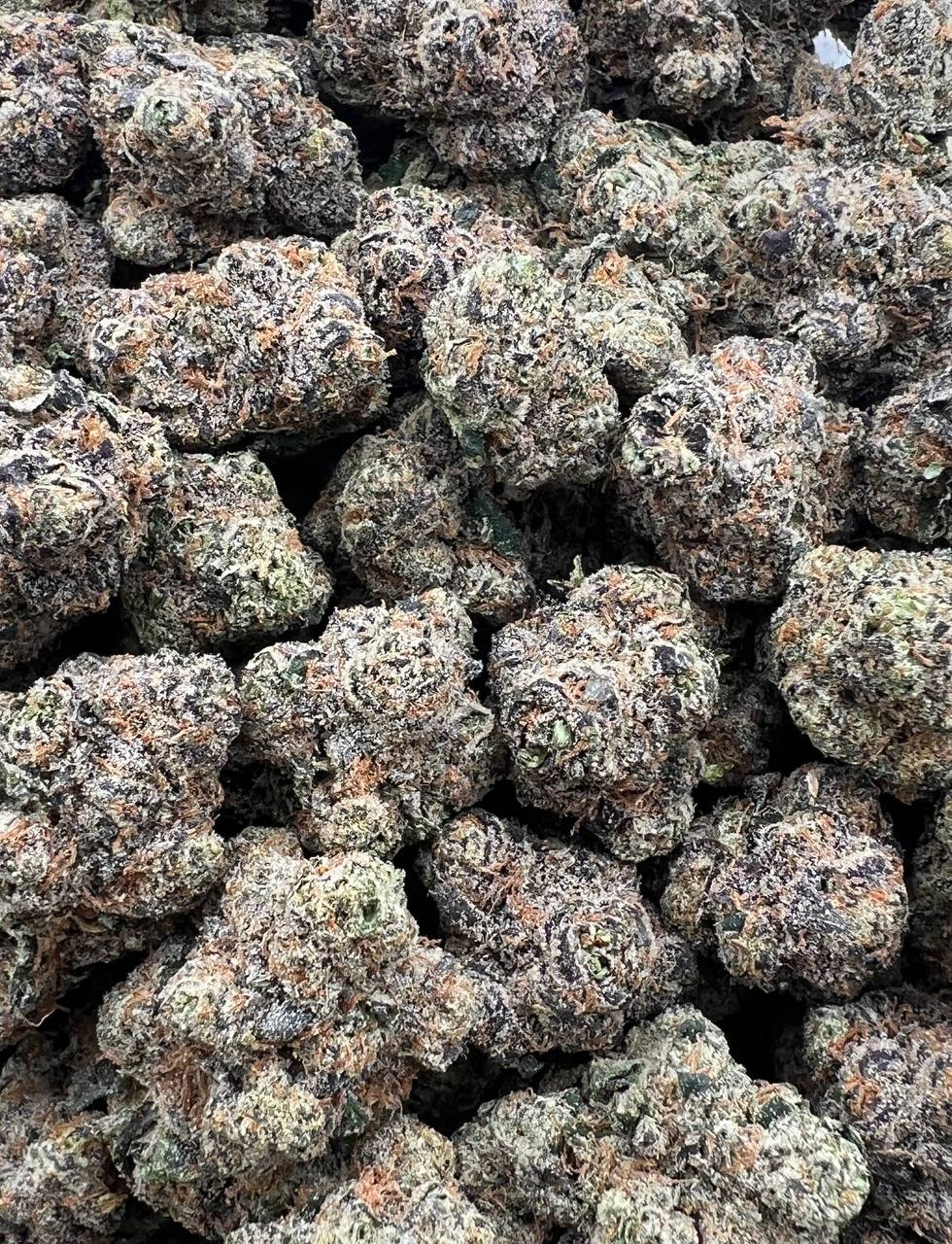Guava Zushi strain image