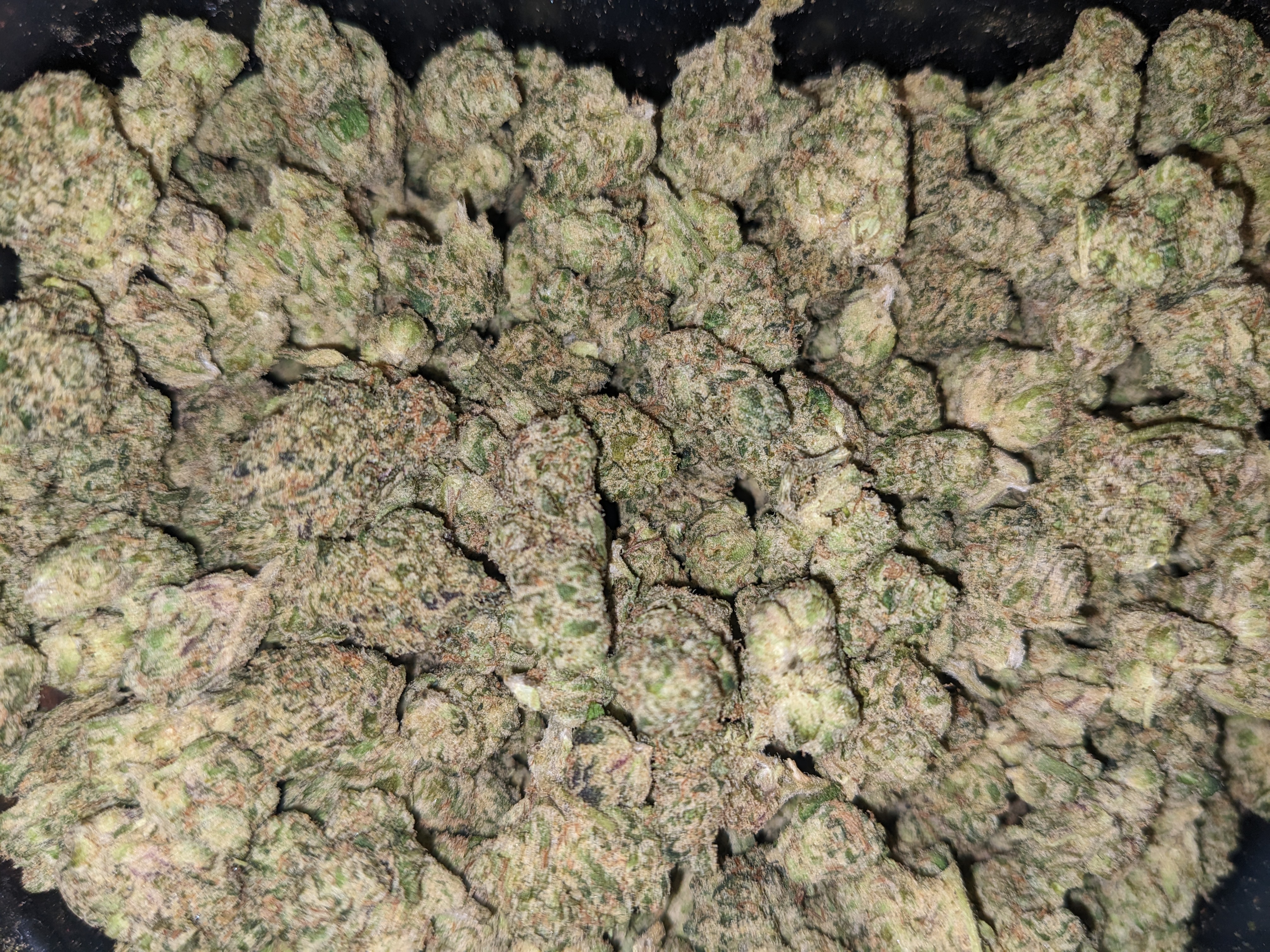 Khalifa Mints strain image