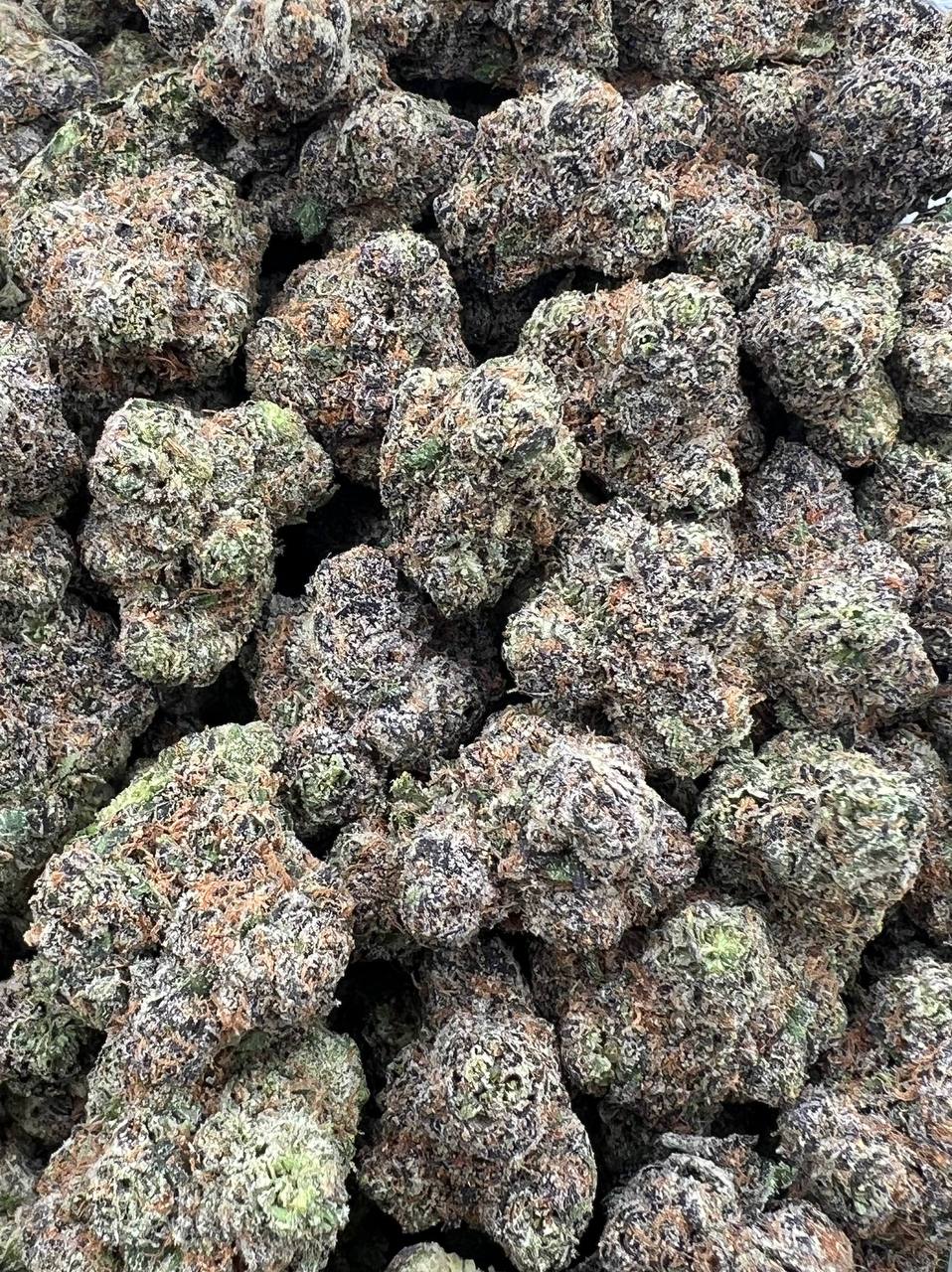 LA Confidential strain image