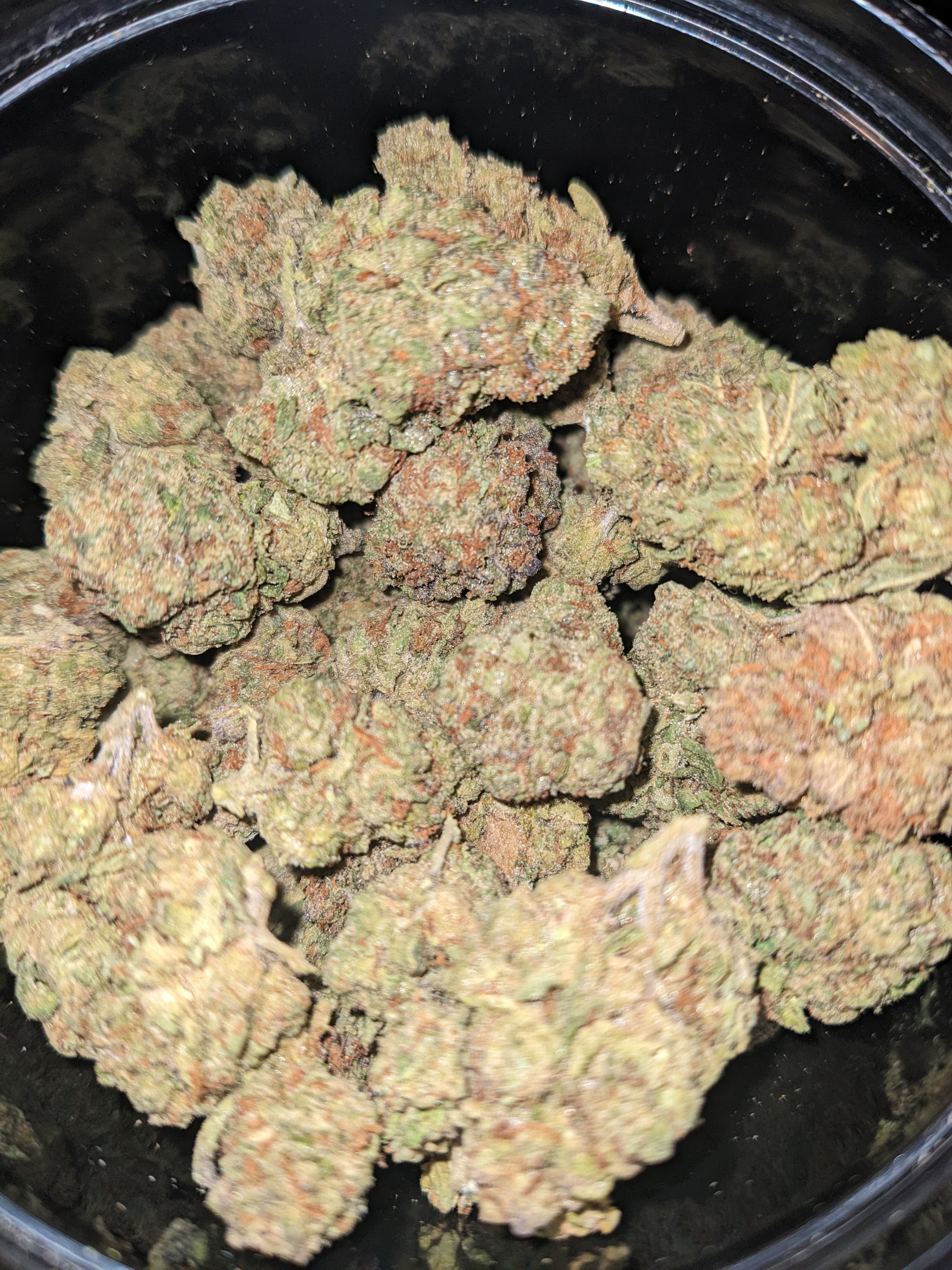 Lemon Cherry Gelato strain image