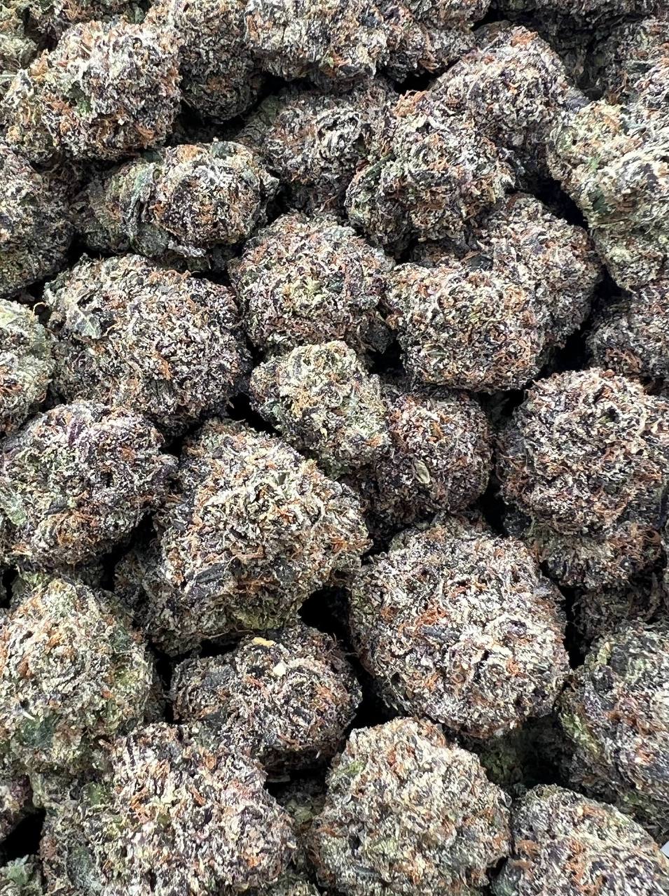 Lemon Hibiscus strain image