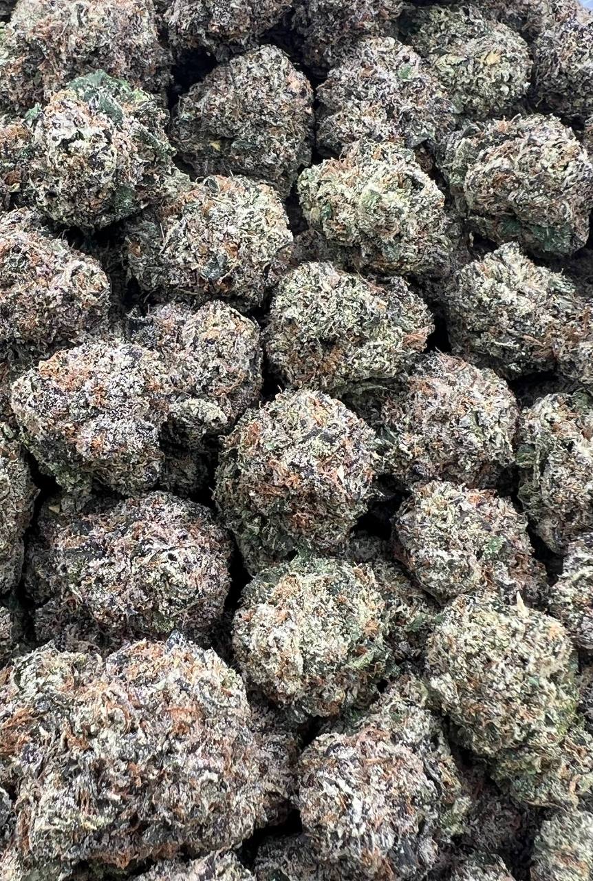 Nightshade strain image