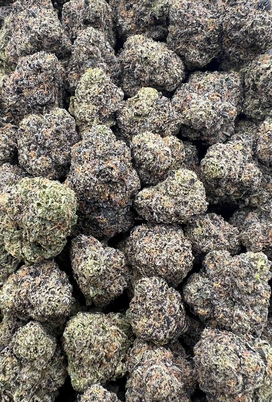 Puppeteer strain image