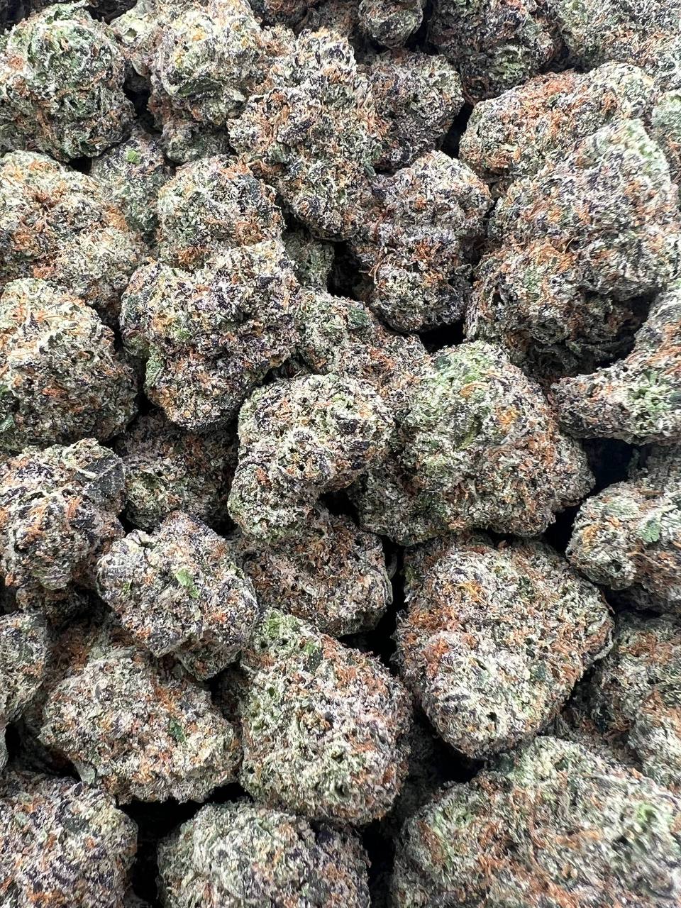 Rainbow Belts strain image