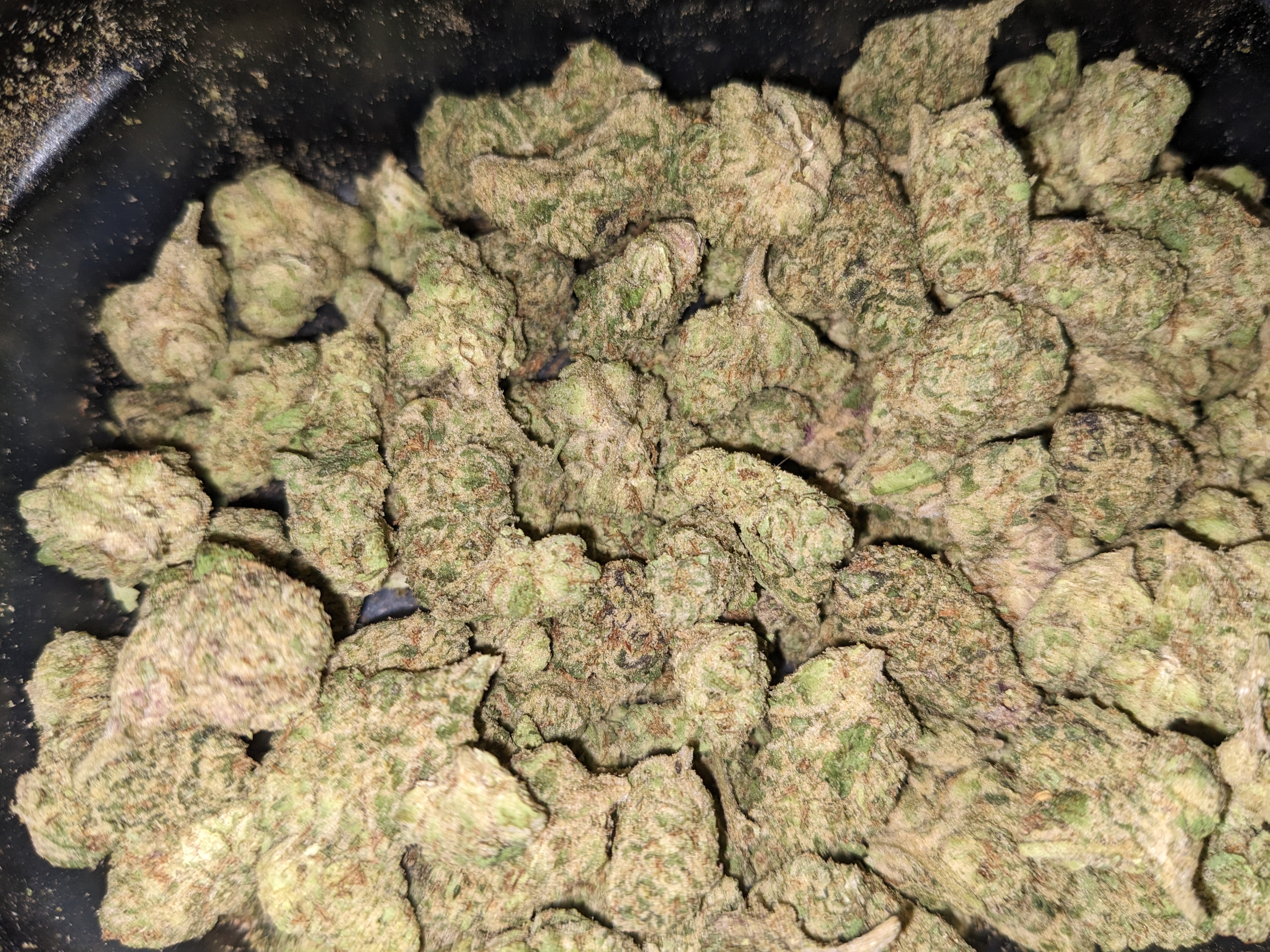 Wedding Crashers strain image
